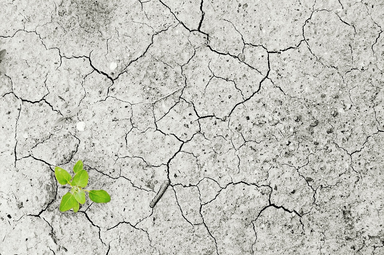 Climate Change and Public Health: What's the Connection?